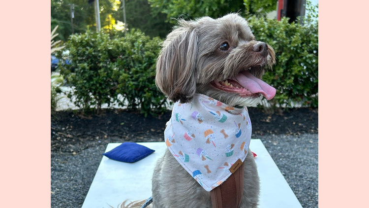 Snap-on Bandanas