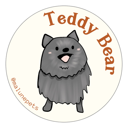 Teddy Bear