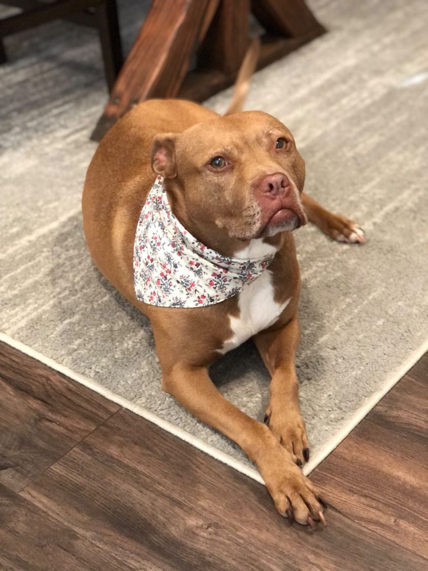 Penny