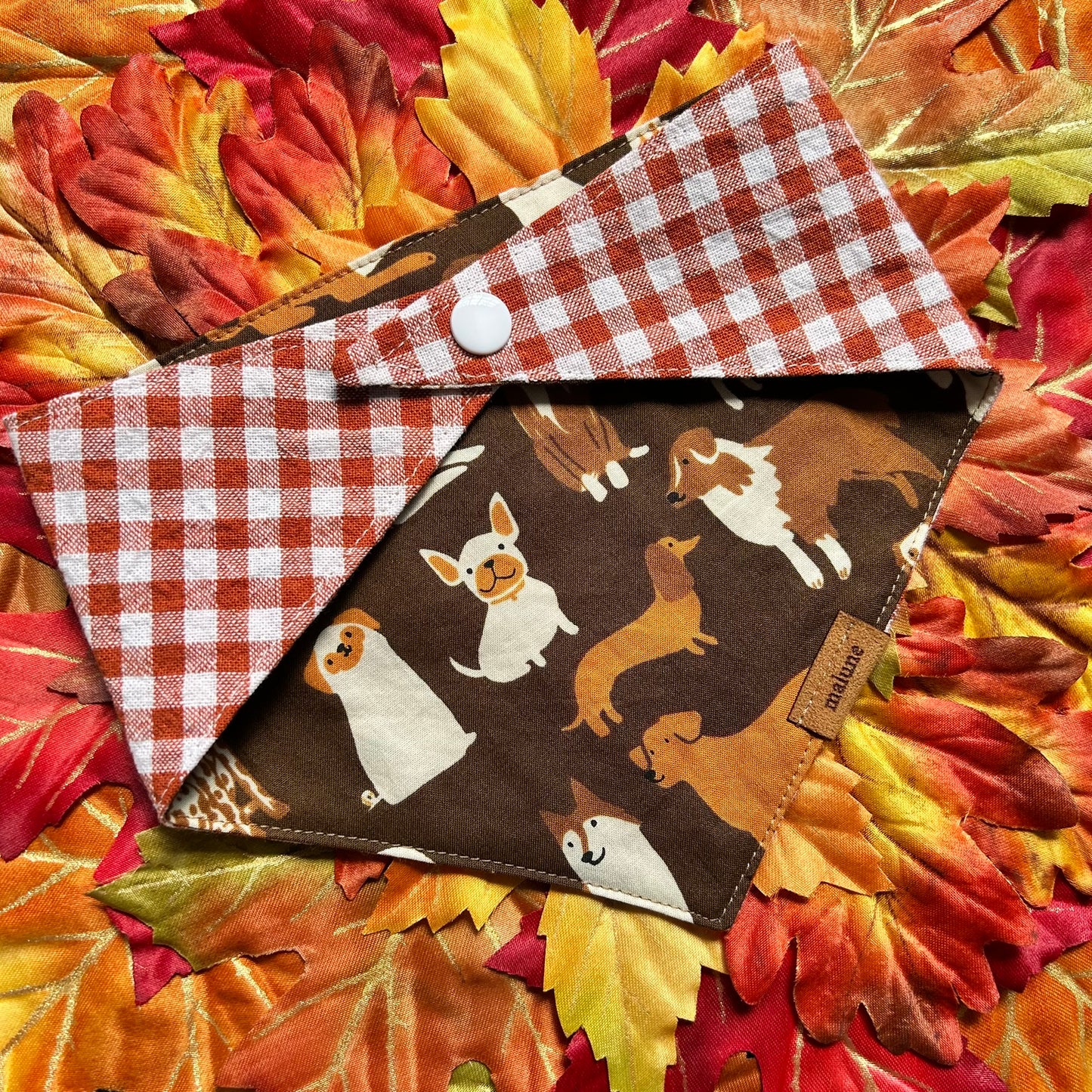 Fall Pups - Bandana