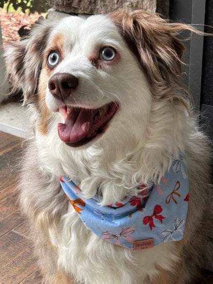 Bows & Boos Halloween Bandana