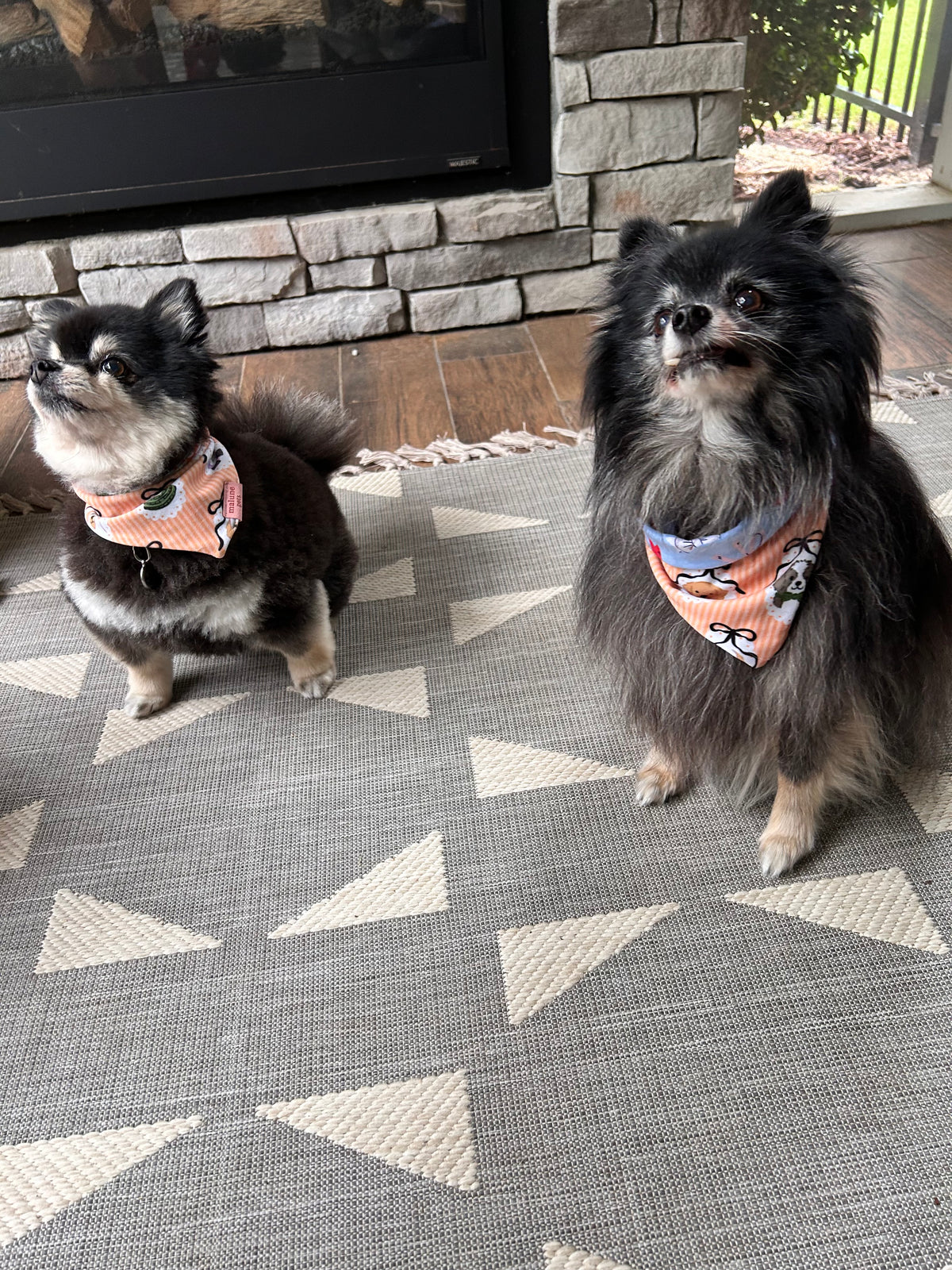 Bows & Boos Halloween Bandana
