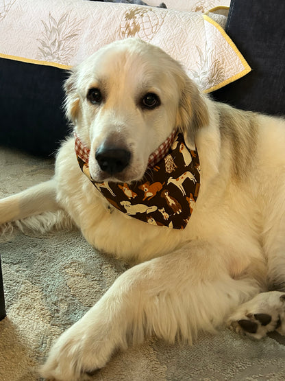 Fall Pups - Bandana