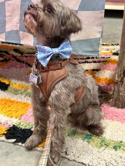 Easter Bow tie