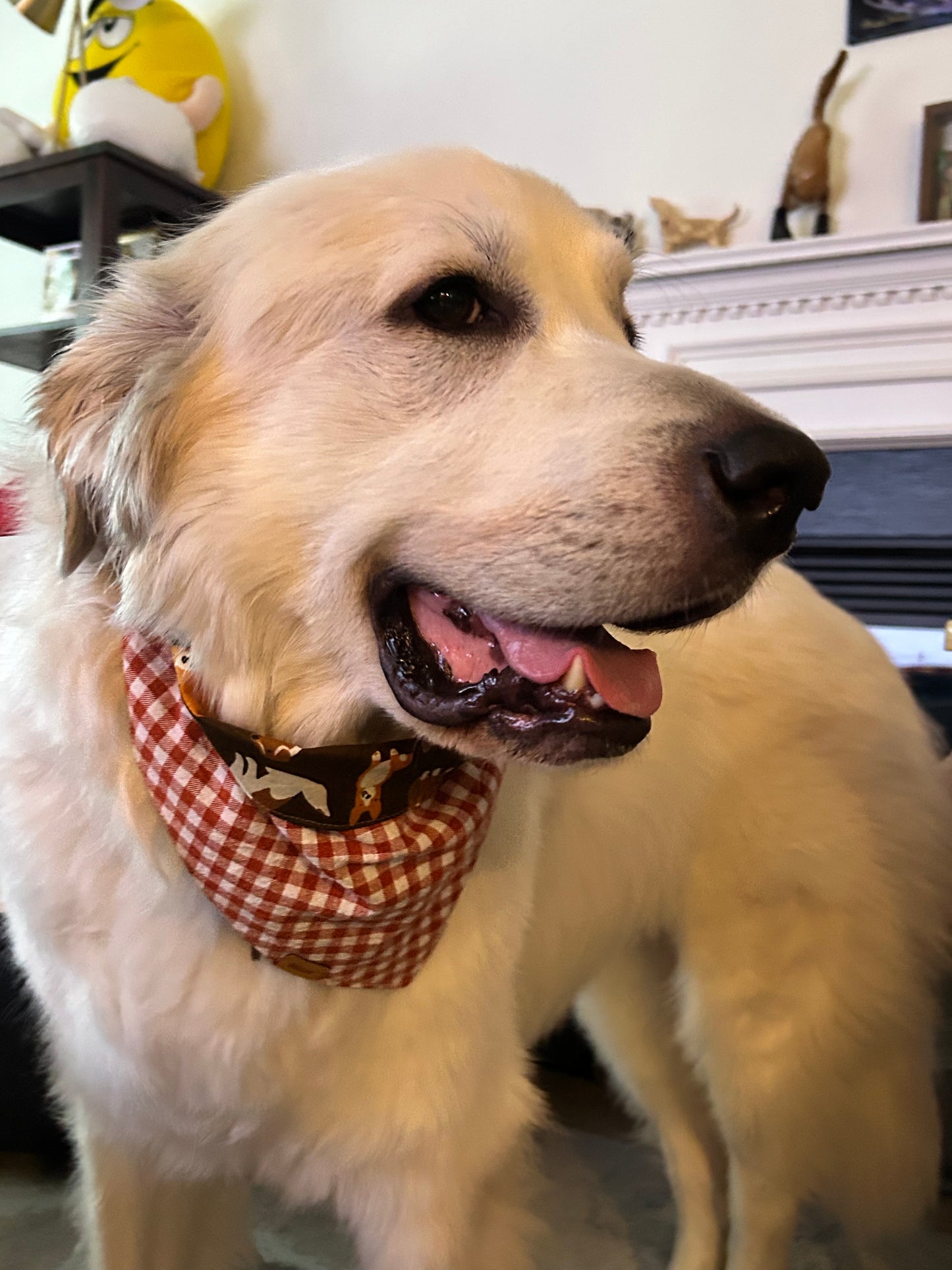 Fall Pups - Bandana