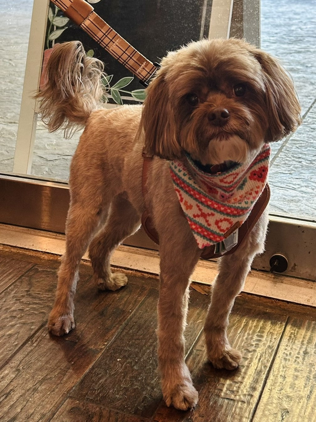 Valentine Bandana