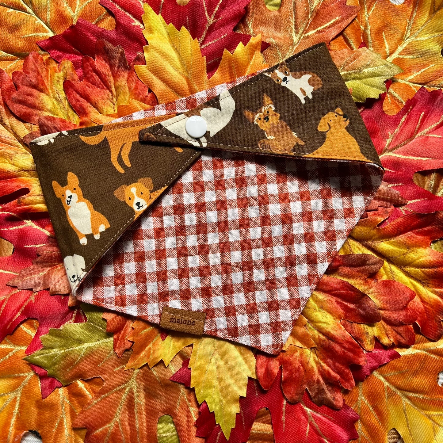 Fall Pups - Bandana