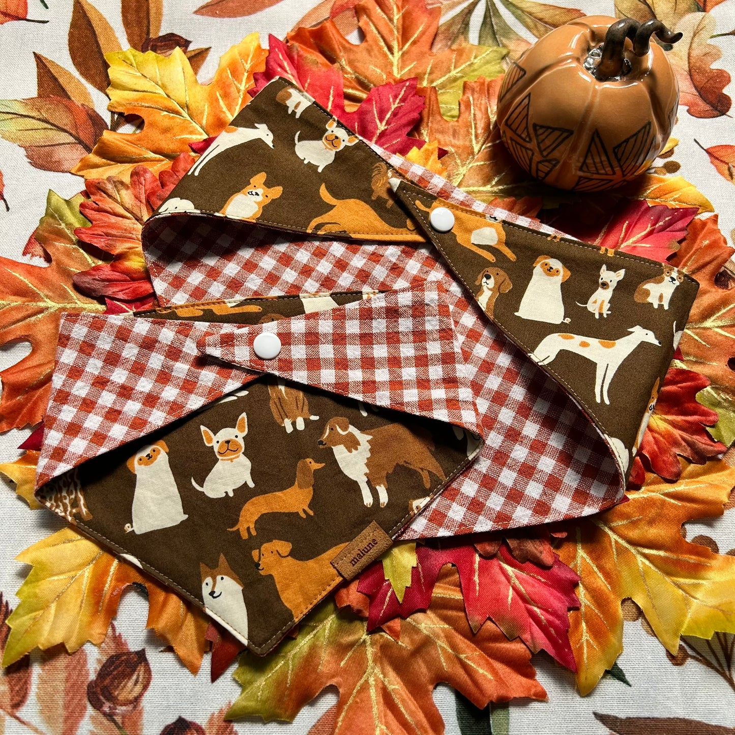 Fall Pups - Bandana