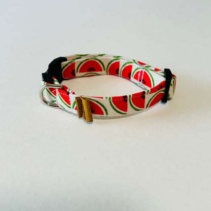 Watermelon Tiny Collar