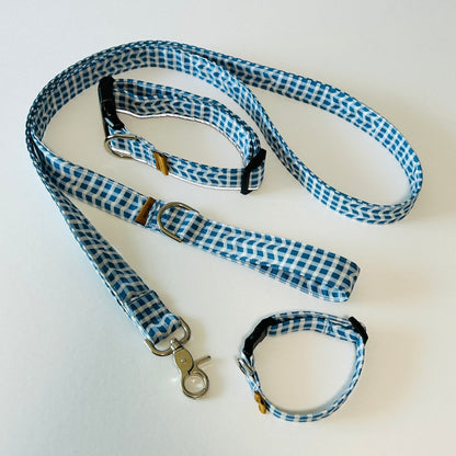 Blue Waves Leash