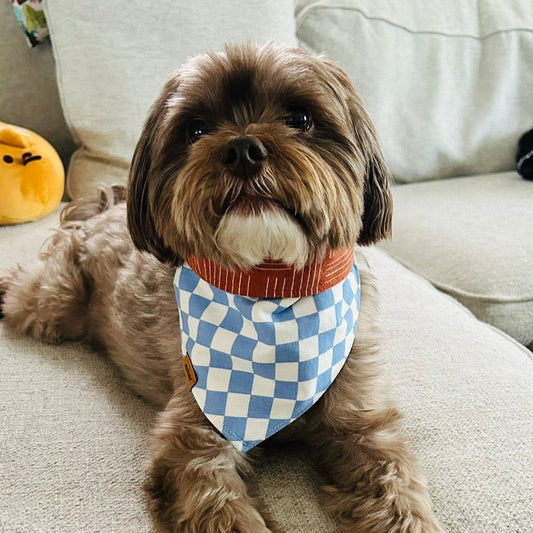 Groovy Snap-on Bandana