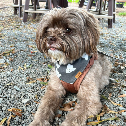 Haunting Dogs Snap-on Bandana