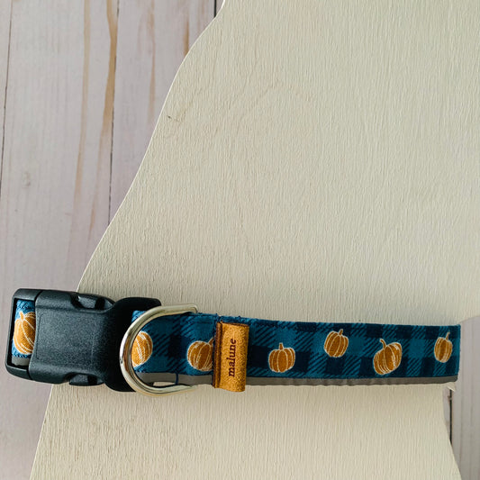 Pumpkin Patch Collar